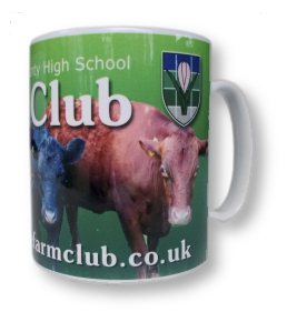 10oz Durham style mug